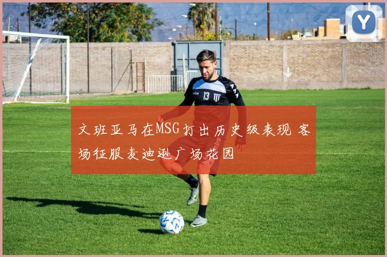 文班亚马在MSG打出历史级表现 客场征服麦迪逊广场花园